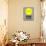 Stay Focused Circle 2-NaxArt-Mounted Art Print displayed on a wall