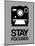 Stay Focused Polaroid Camera 1-NaxArt-Mounted Art Print