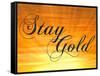 Stay Gold Ponyboy-null-Framed Stretched Canvas