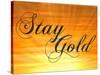 Stay Gold Ponyboy-null-Stretched Canvas