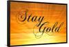 Stay Gold Ponyboy-null-Framed Poster