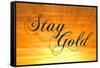 Stay Gold Ponyboy-null-Framed Stretched Canvas