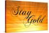 Stay Gold Ponyboy-null-Stretched Canvas