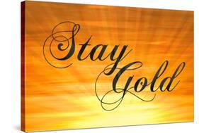 Stay Gold Ponyboy-null-Stretched Canvas