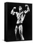 Stay Hungry, Arnold Schwarzenegger, 1976-null-Framed Stretched Canvas