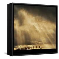 Stay the Course-Philippe Sainte-Laudy-Framed Stretched Canvas