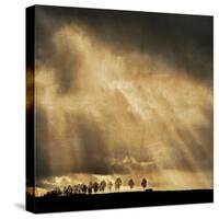 Stay the Course-Philippe Sainte-Laudy-Stretched Canvas