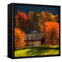 Stay the Night-Philippe Sainte-Laudy-Framed Stretched Canvas