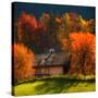 Stay the Night-Philippe Sainte-Laudy-Stretched Canvas