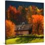 Stay the Night-Philippe Sainte-Laudy-Stretched Canvas