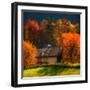 Stay the Night-Philippe Sainte-Laudy-Framed Photographic Print