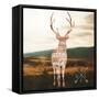 Stay Wild-Sam Appleman-Framed Stretched Canvas