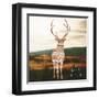 Stay Wild-Sam Appleman-Framed Art Print