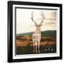 Stay Wild-Sam Appleman-Framed Art Print