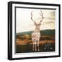 Stay Wild-Sam Appleman-Framed Art Print