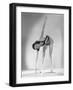 Black Frame