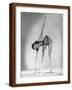 Brown Frame