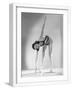 White Frame