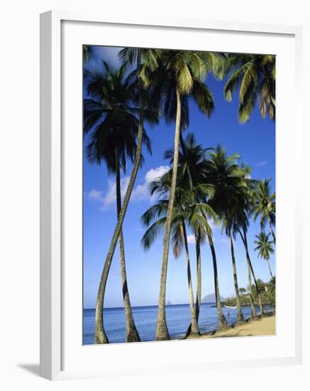 Ste-Luce, Martinique-null-Framed Photographic Print