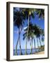 Ste-Luce, Martinique-null-Framed Photographic Print