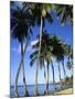 Ste-Luce, Martinique-null-Mounted Photographic Print