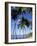 Ste-Luce, Martinique-null-Framed Photographic Print