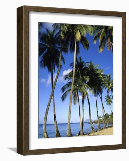 Ste-Luce, Martinique-null-Framed Photographic Print