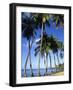 Ste-Luce, Martinique-null-Framed Photographic Print