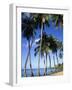 Ste-Luce, Martinique-null-Framed Photographic Print