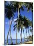 Ste-Luce, Martinique-null-Mounted Photographic Print