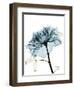 Steal Rose 2-Albert Koetsier-Framed Art Print