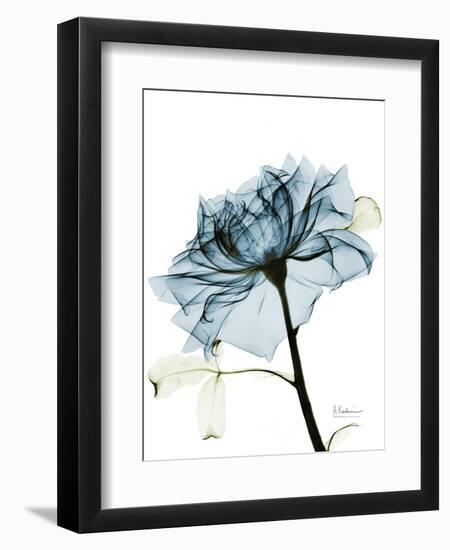 Steal Rose 2-Albert Koetsier-Framed Art Print