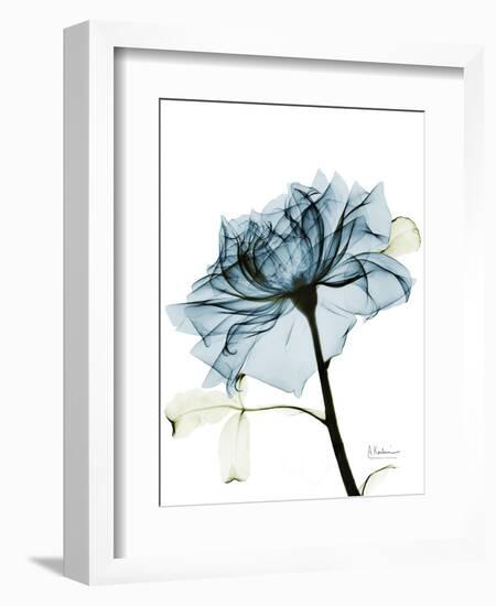 Steal Rose 2-Albert Koetsier-Framed Art Print