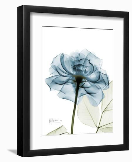 Steal Rose-Albert Koetsier-Framed Premium Giclee Print