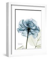 Steal Rose-Albert Koetsier-Framed Premium Giclee Print