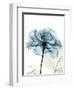 Steal Rose-Albert Koetsier-Framed Premium Giclee Print