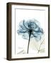 Steal Rose-Albert Koetsier-Framed Premium Giclee Print