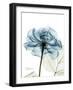 Steal Rose-Albert Koetsier-Framed Premium Giclee Print