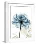 Steal Rose-Albert Koetsier-Framed Premium Giclee Print