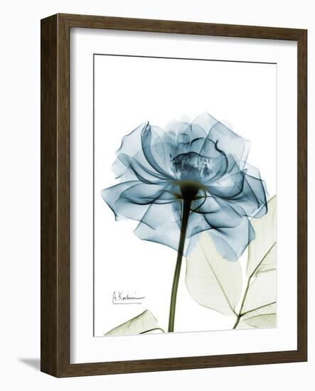 Steal Rose-Albert Koetsier-Framed Art Print