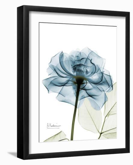 Steal Rose-Albert Koetsier-Framed Art Print