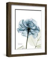 Steal Rose-Albert Koetsier-Framed Art Print