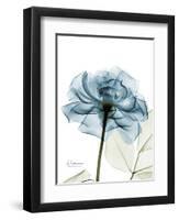 Steal Rose-Albert Koetsier-Framed Art Print