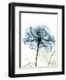 Steal Rose-Albert Koetsier-Framed Art Print