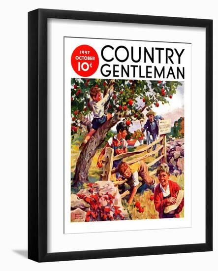 "Stealing Apples," Country Gentleman Cover, October 1, 1937-William Meade Prince-Framed Giclee Print