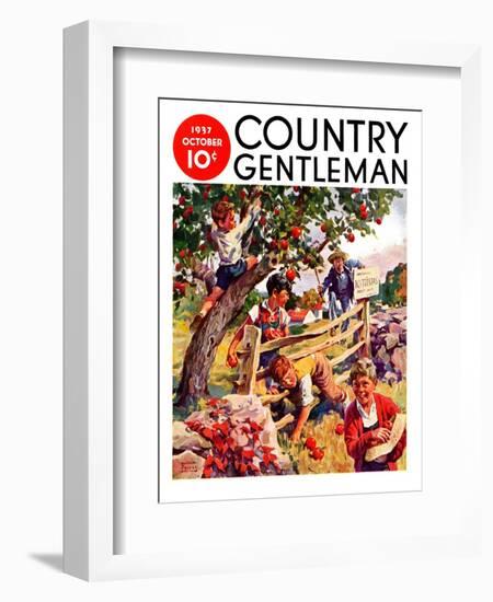 "Stealing Apples," Country Gentleman Cover, October 1, 1937-William Meade Prince-Framed Giclee Print