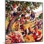 "Stealing Apples,"October 1, 1937-William Meade Prince-Mounted Giclee Print