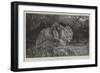 Stealthy Fate-John Trivett Nettleship-Framed Giclee Print