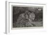 Stealthy Fate-John Trivett Nettleship-Framed Giclee Print