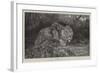 Stealthy Fate-John Trivett Nettleship-Framed Giclee Print